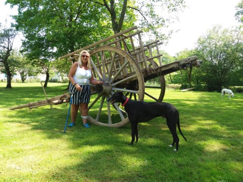 20180506_130339 (2).jpg